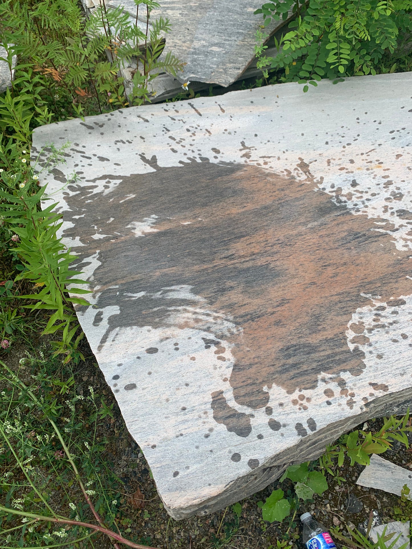 Tile/Veneer
