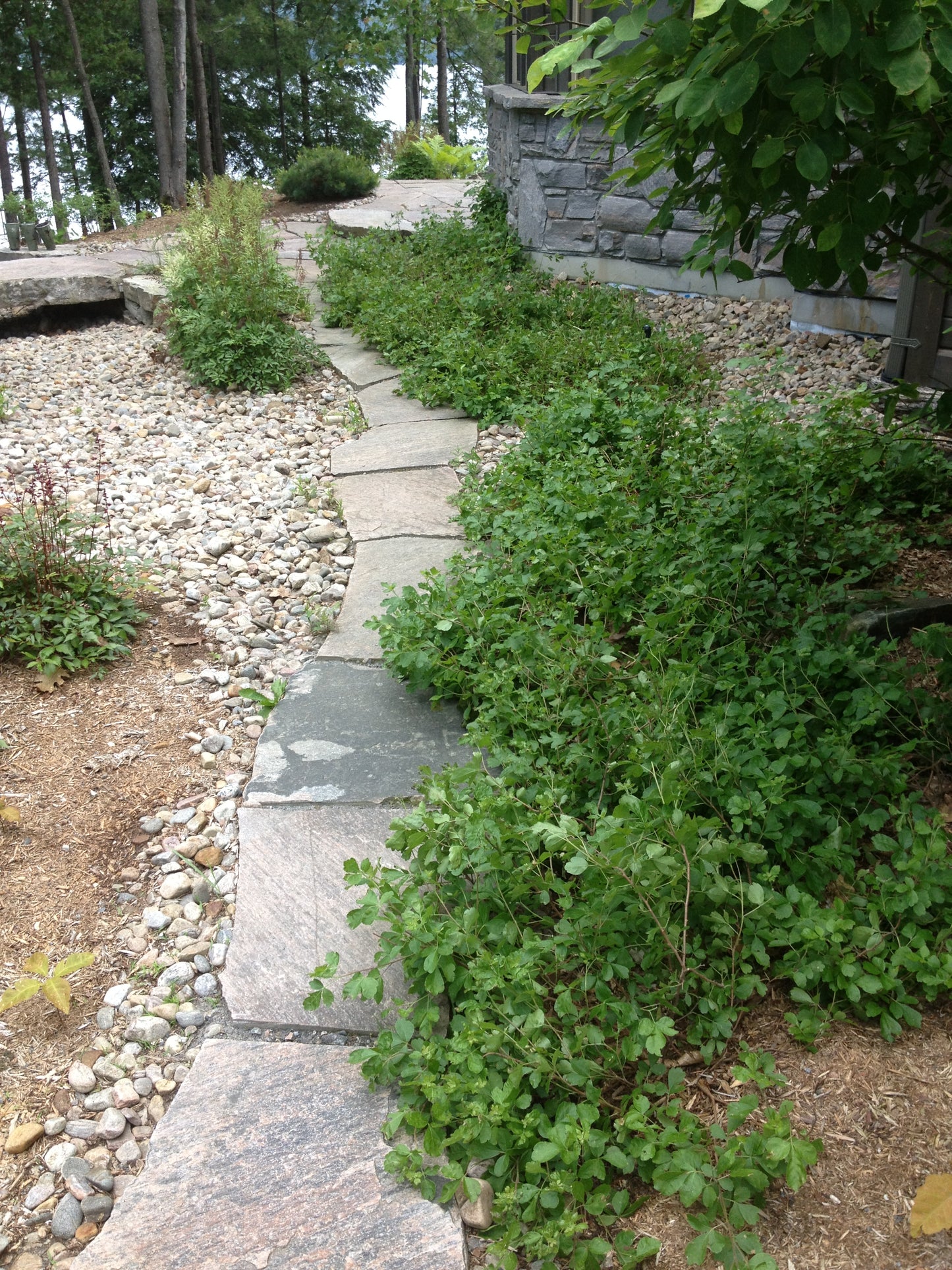 Walkway Flagstone